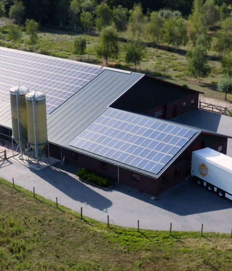 Still zonnepanelen